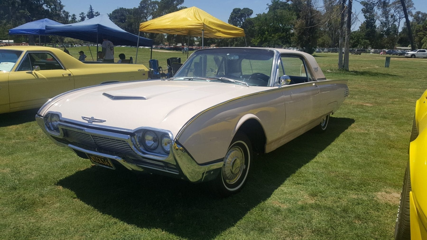 1962 TBird Featured parked in car show