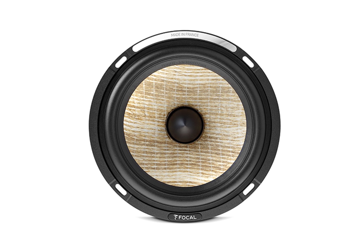 Focal PS 165 FXE component