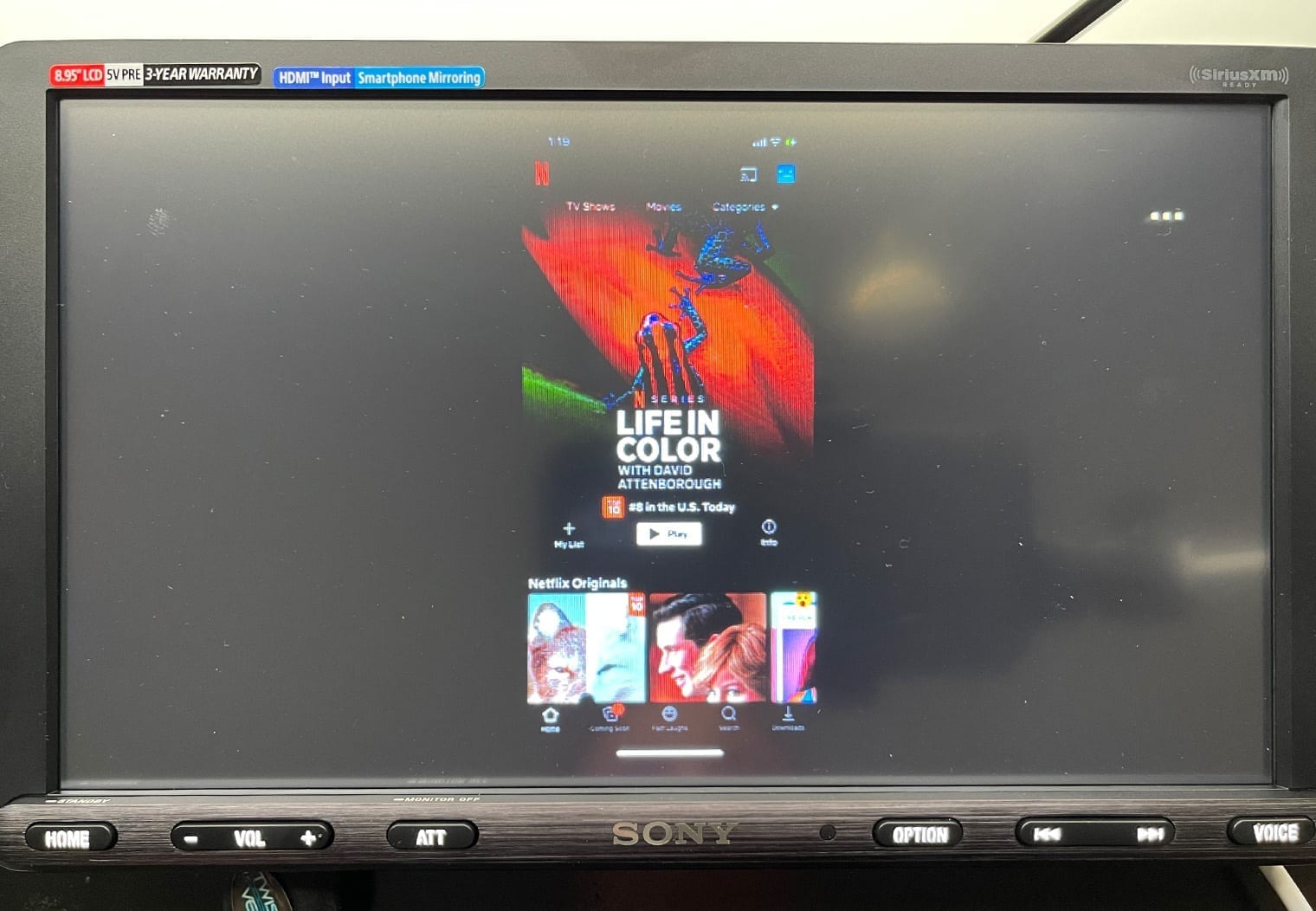 Sony XAV-AX8100 netflix homescreen on HDMI