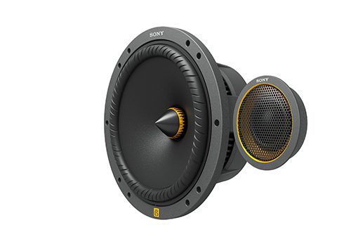 Sony XS-162ES driver and tweeter