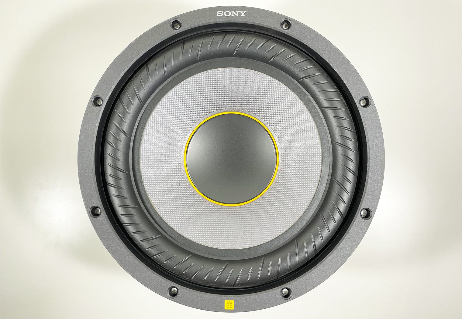 Sony MobileES 12in Subwoofers front closeup